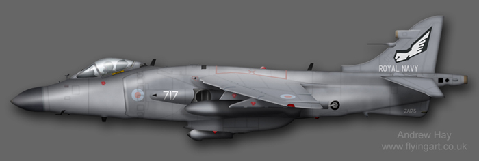 Sea Harrier FA.2 ZA175 899 NAS